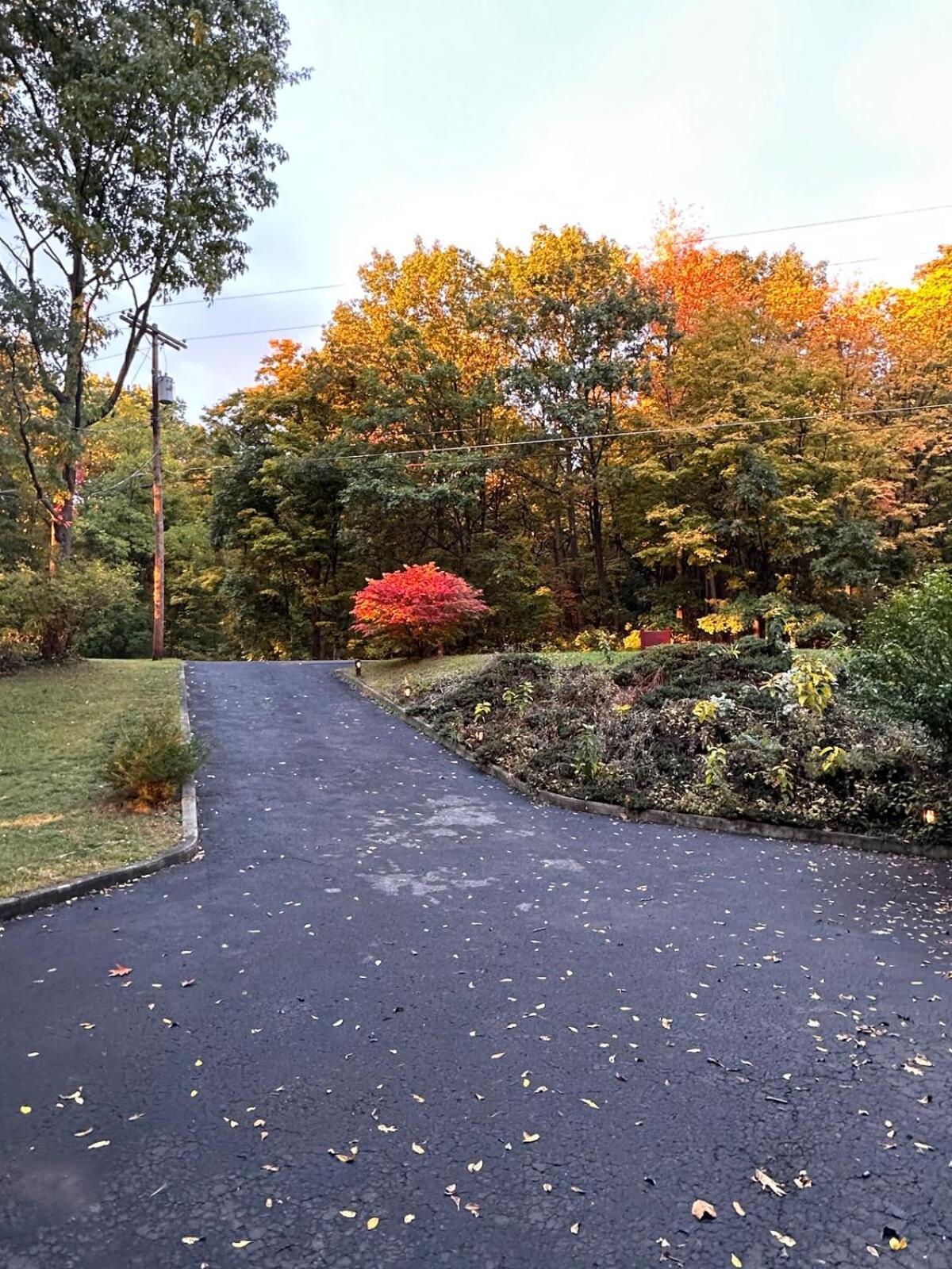Cayuga Lake Cottage With Private Lake Access Washingtonville Zewnętrze zdjęcie